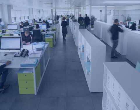 bracchii offices