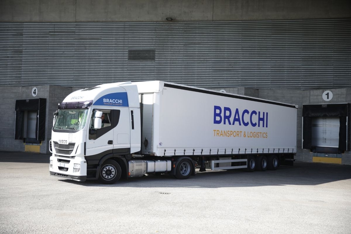 camion-bracchii
